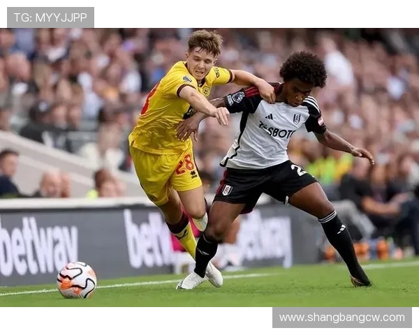 刺猬头的足球明星如何在绿茵场上展现独特风采与魅力