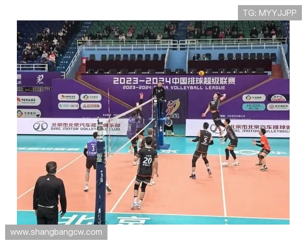 聚焦排球：探讨北京排球队在比赛中的宝贵经验与成长之路