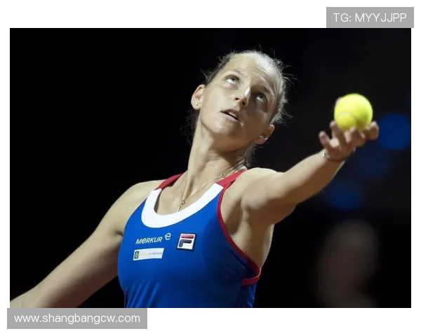 深圳网球队在联合会杯积分榜上以90分稳居第一名展现强劲实力 深圳网球队在联合会杯积分榜上以90分稳居第一名展现强劲实力