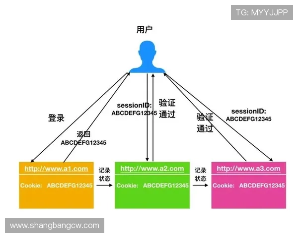 广州排球队球员个人能力深度对比与分析探讨