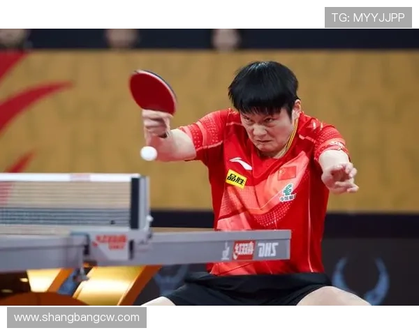 成都乒乓球队灵活性引发热议球迷与专家观点交锋不断