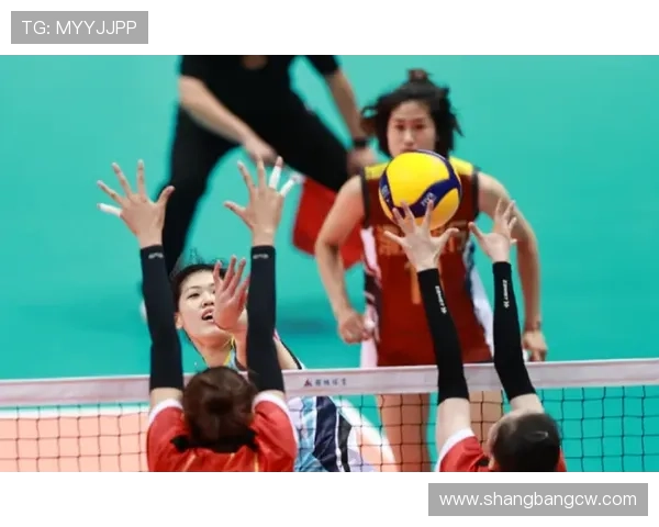 武汉排球队在全国排球耐力排行榜中荣获第六名展现出强大实力与团队精神