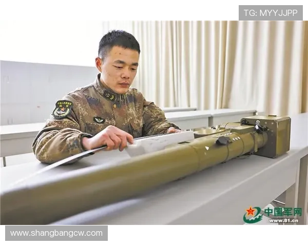 杭州羽毛球队的反击革新之路：重塑战术与团队精神的成功案例