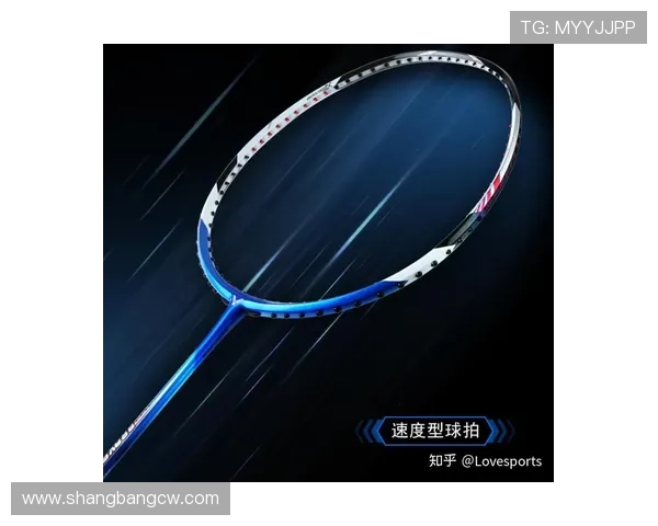 武汉羽毛球队引领最新羽毛球技术TOP10榜单解析与展望